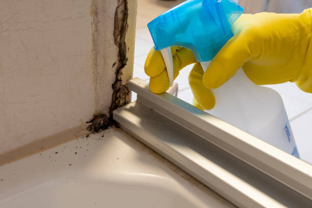 Best Mold Testing and Inspection Services in Simmesport, LA